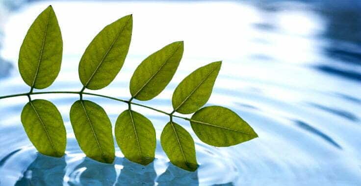 The Natural Hormone Solution Dr Henry Sobo MD, Stamford CT