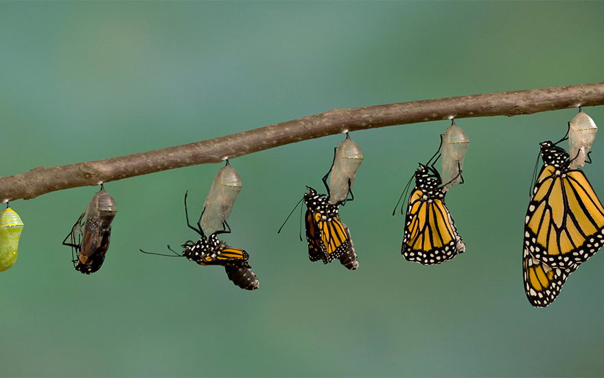 Monarch medical aesthetics is a medical group practice located in bronx, ny that specializes in emergency medicine. Changes In Aesthetic Medicine Over 20 Years Dr Van Aardt