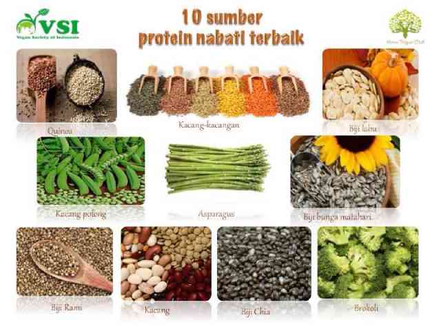 Sumber protein nabati terbaik | Kesehatan Vegan - dr. Satyawira Aryawan Deng