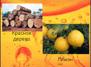 Лекция о контрацепции между нами, девочками. О контрацепции для подростков Беседа с пациентом по вопросам контрацепции