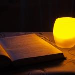 秋の夜長を彩る 万年筆で綴る読書ノートの新習慣