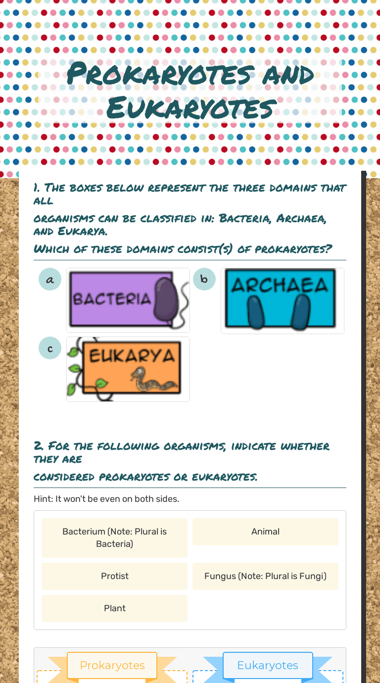 Prokaryotes bacteria prokaryotes, which includes, bacteria are . Prokaryotes And Eukaryotes Interactive Worksheet By Chelsea Salinas Wizer Me