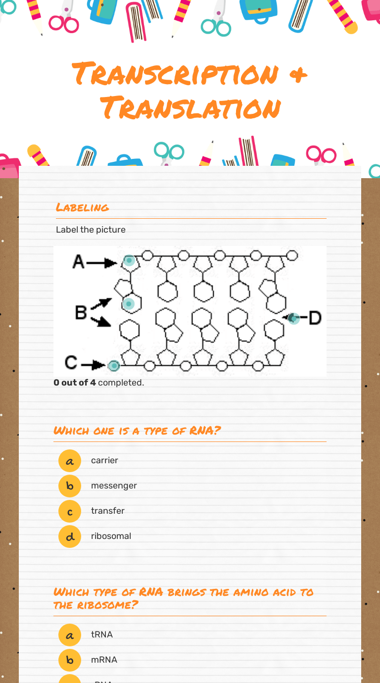 As with transcriptional activators, several distinct types of repression domains have been identified. Transcription Translation Interactive Worksheet Wizer Me