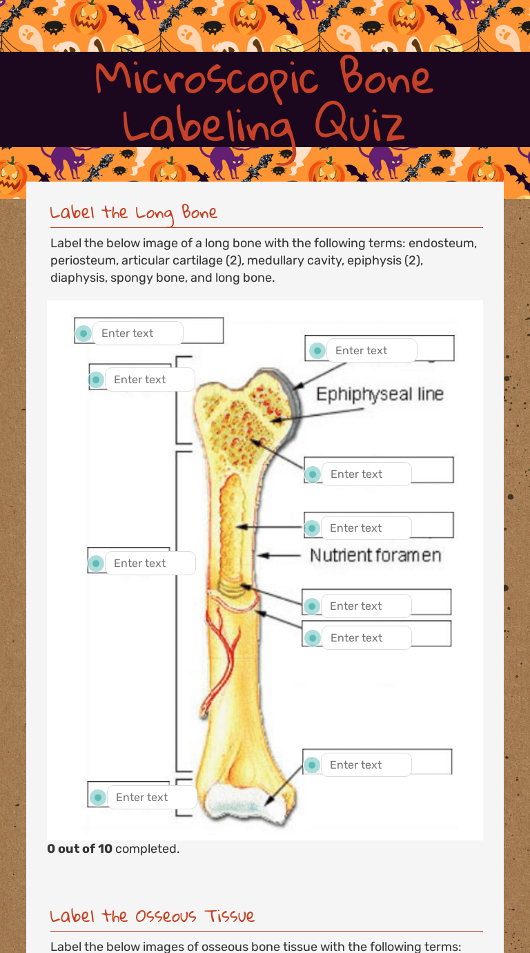 Draw and label bone tissue. Microscopic Bone Labeling Quiz Interactive Worksheet By Kaleb Bassett Wizer Me
