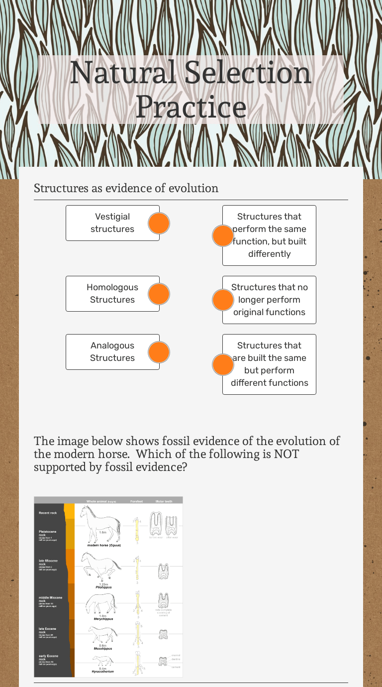 Those with favorable traits survive and reproduce, spreading that trait. Natural Selection Practice Interactive Worksheet By Samantha Finning Wizer Me