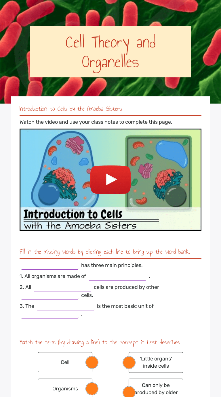 A brief description of the fabrication, installation, and pressurizing equipment is given, and pressurizing pro. Cell Theory And Organelles Interactive Worksheet By Allison Williams Wizer Me