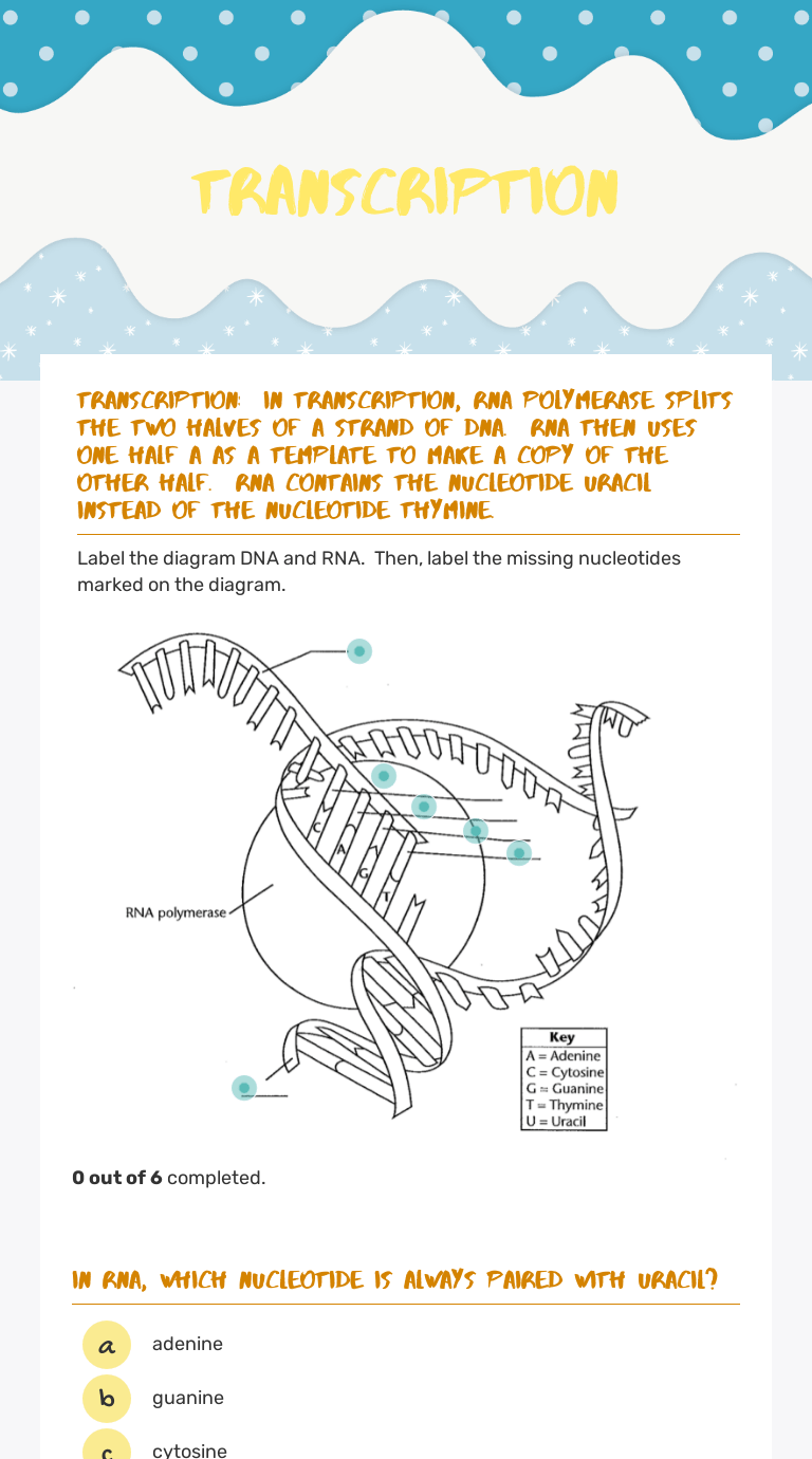A dna molecule is made up of long chains of nucleotides. Transcription Interactive Worksheet By Amy Short Wizer Me