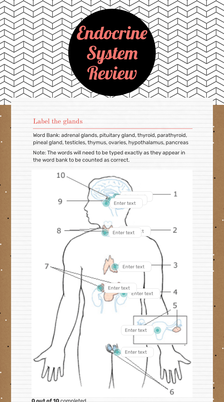 Advertisement the endocrine system comprises a number of glands that produce hormo. Endocrine System Review Interactive Worksheet Wizer Me
