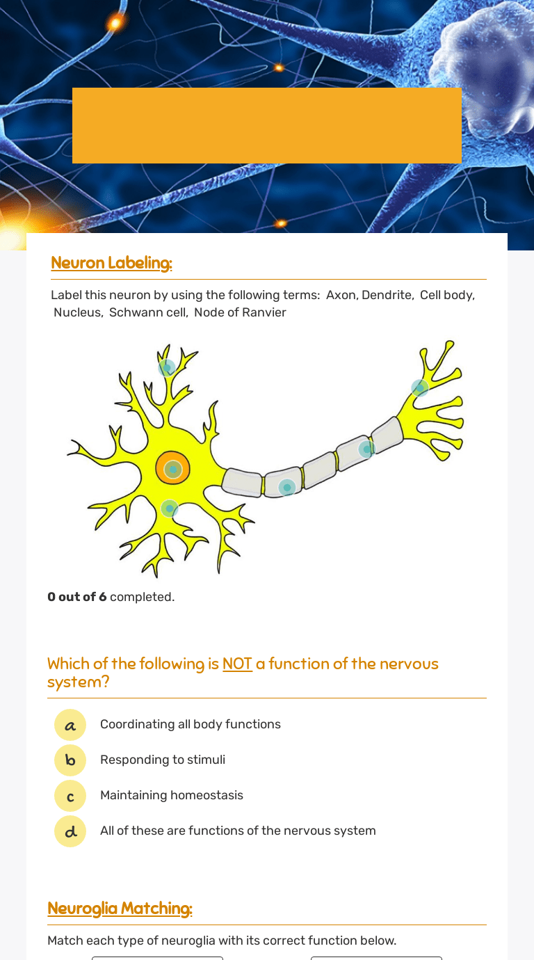 Related searches to neuron worksheet psych 630. Neurons Interactive Worksheet By Shahina Rahman Wizer Me