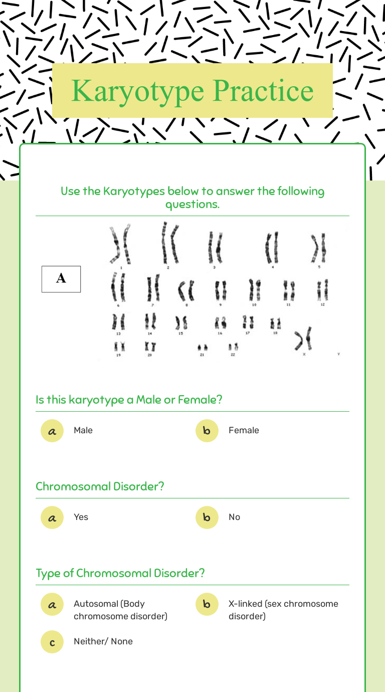 These karyotypes are from a normal male. Karyotype Practice Interactive Worksheet By Mikel Salsgiver Wizer Me