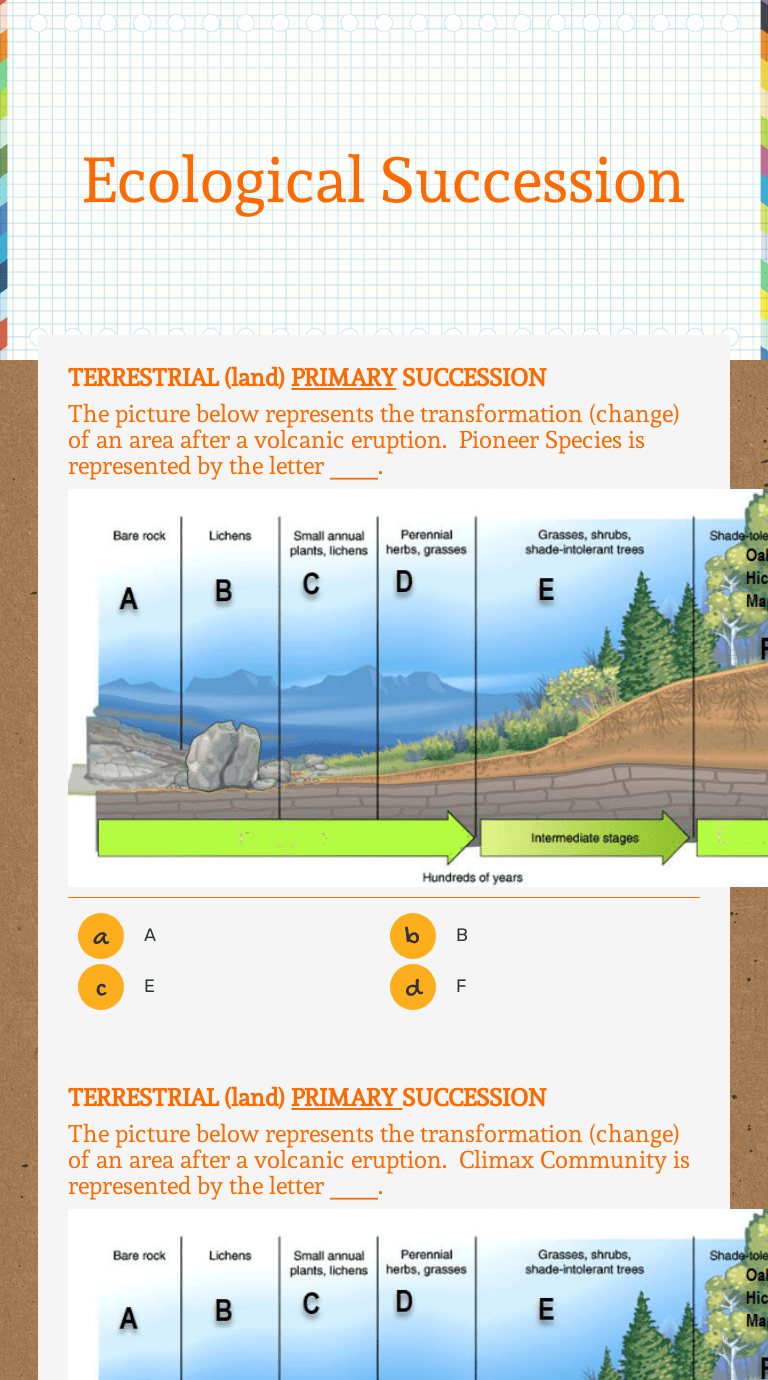 Ecological Succession Worksheet Pdf