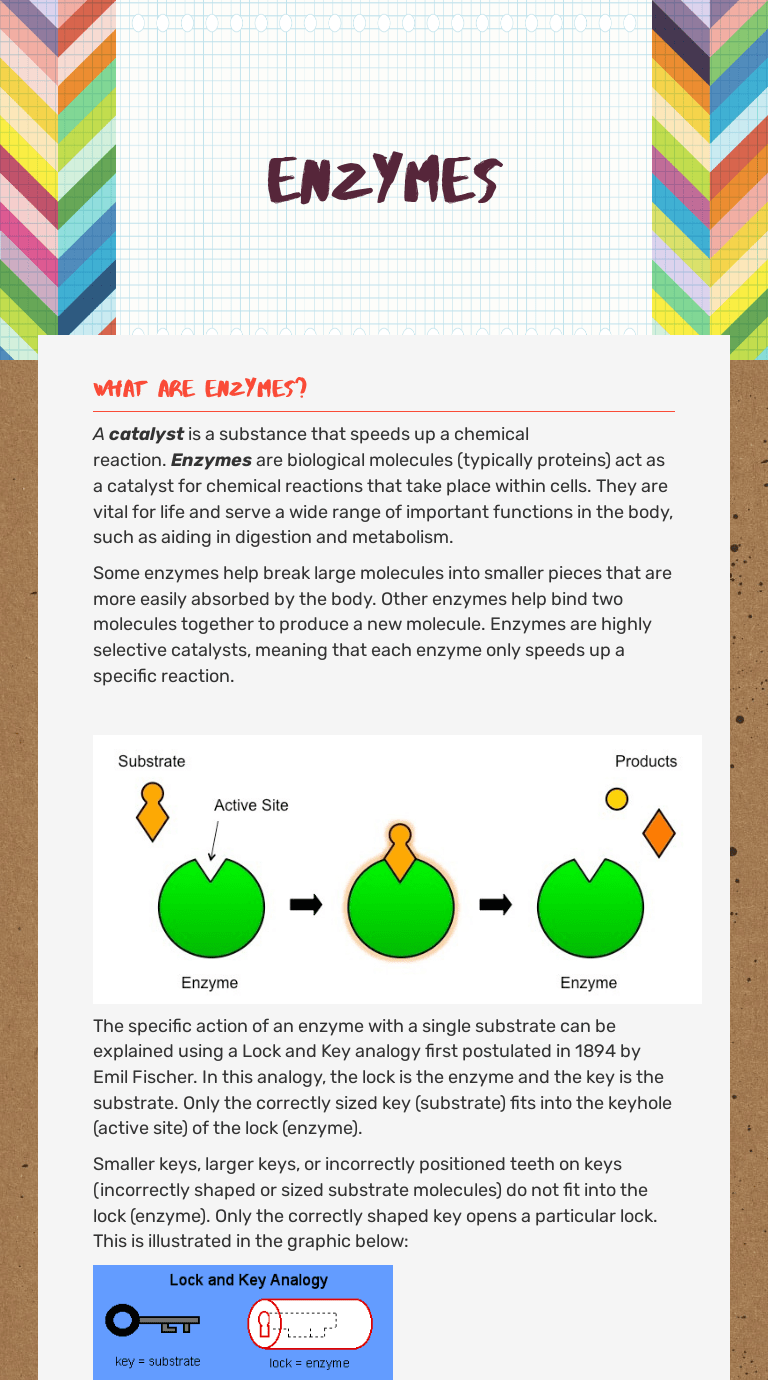 Join the amoeba sisters as they discuss the terms gene and allele in context of a gene involved in ptc (phenylthiocarbamide) taste sensitivity. Amoeba Sisters Biomolecules Worksheet