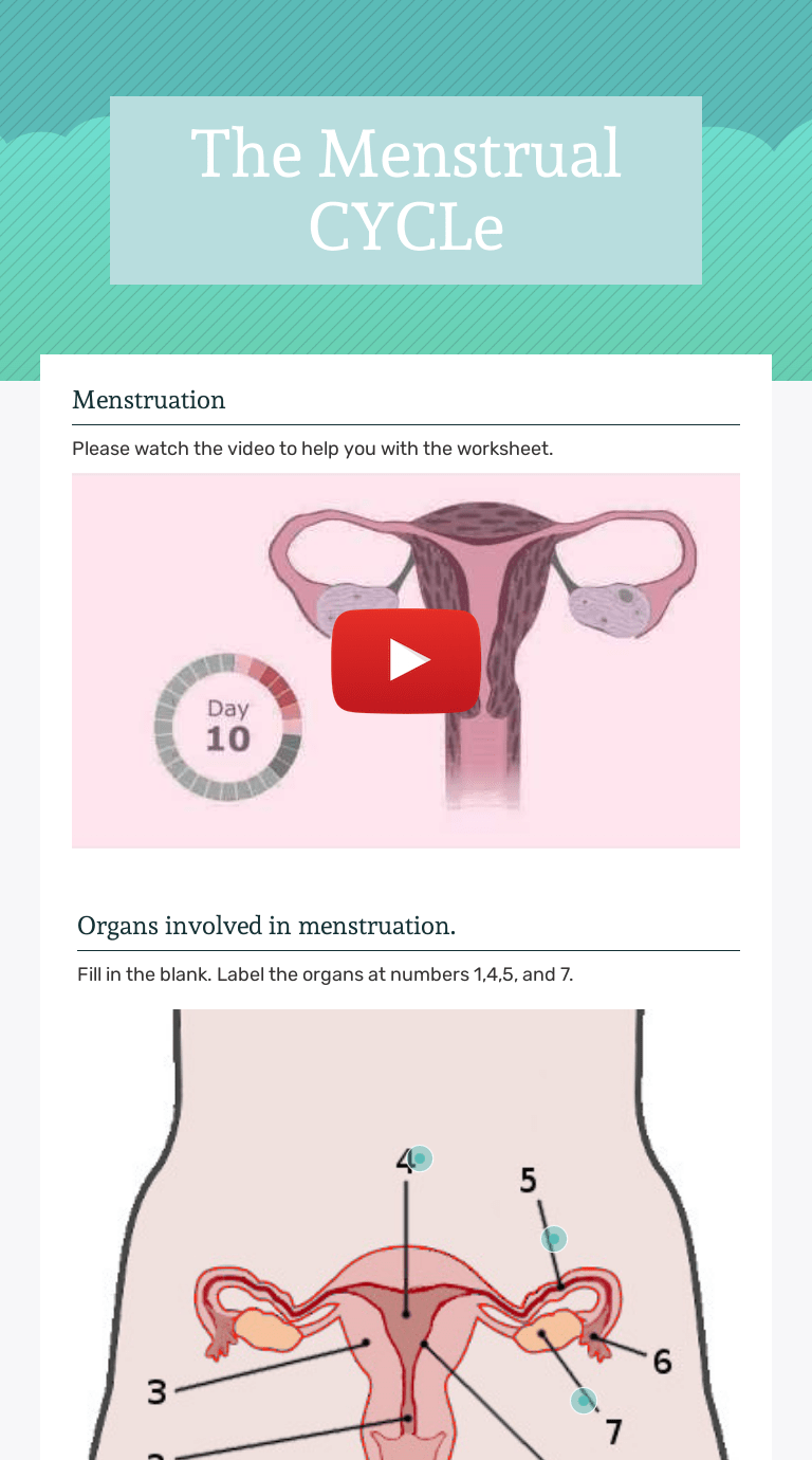 By zahra barnes your menstrual cycle takes your body on a wild ride, all to achieve a single goal. The Menstrual Cycle Interactive Worksheet By Isela Rivera Wizer Me