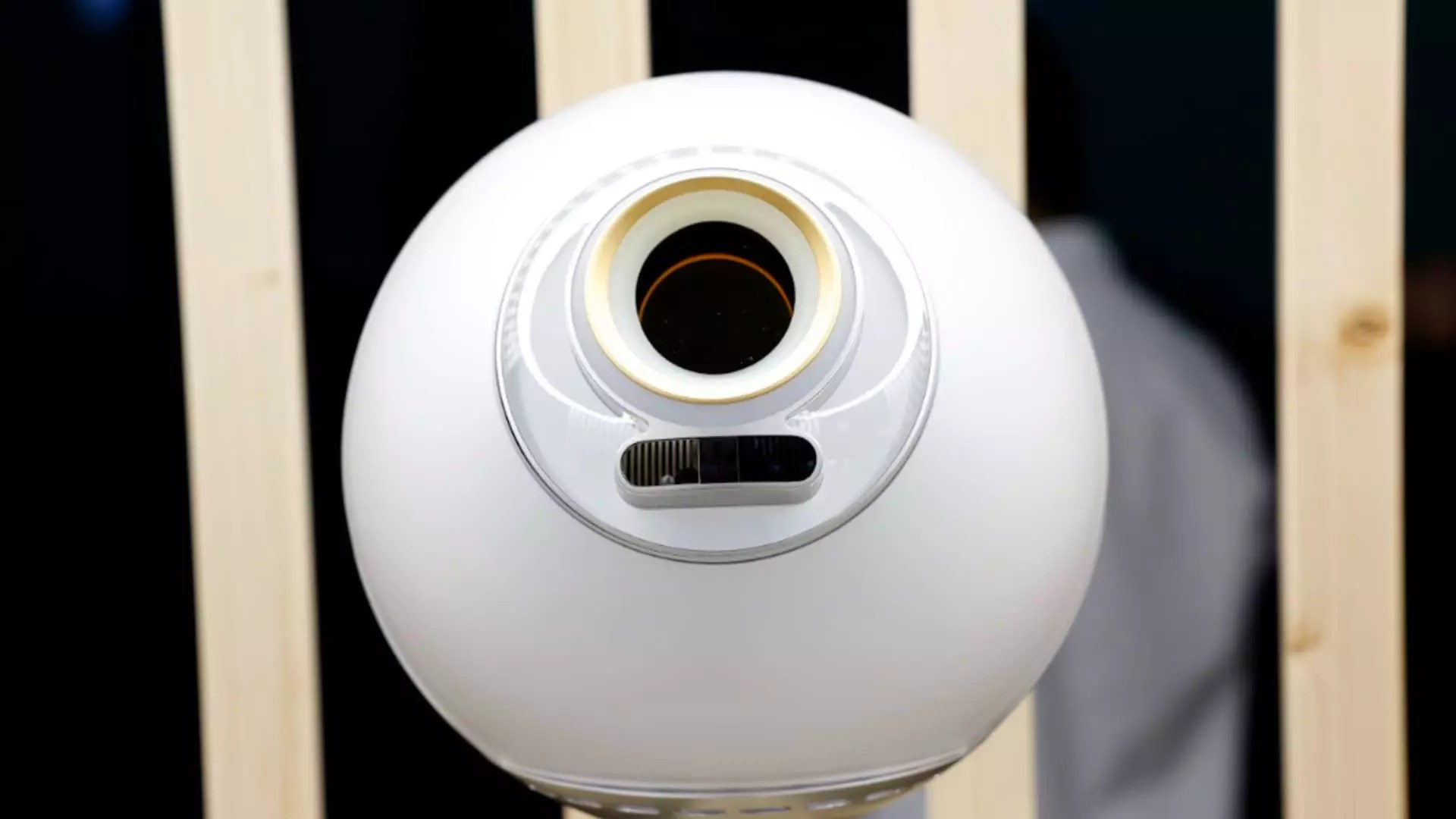 5 Reasons Why the Biometric Revolution is a Double-Edged Sword