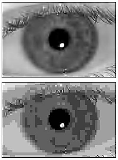 Using a sophisticated encoding method, jpeg 2000 files can . Iris Recognition Jpeg 2000 Vs Image Eurekalert Science News Releases