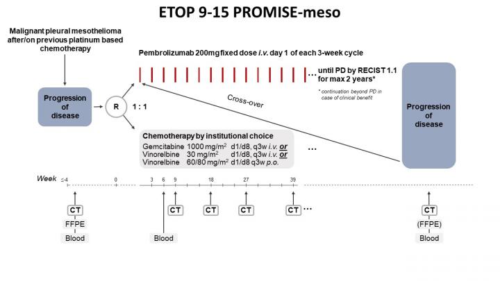 It is offered to some people with pleural mesothelioma, if they have not any . Mesothelioma Trial Suggests Immunotherapy As Eurekalert