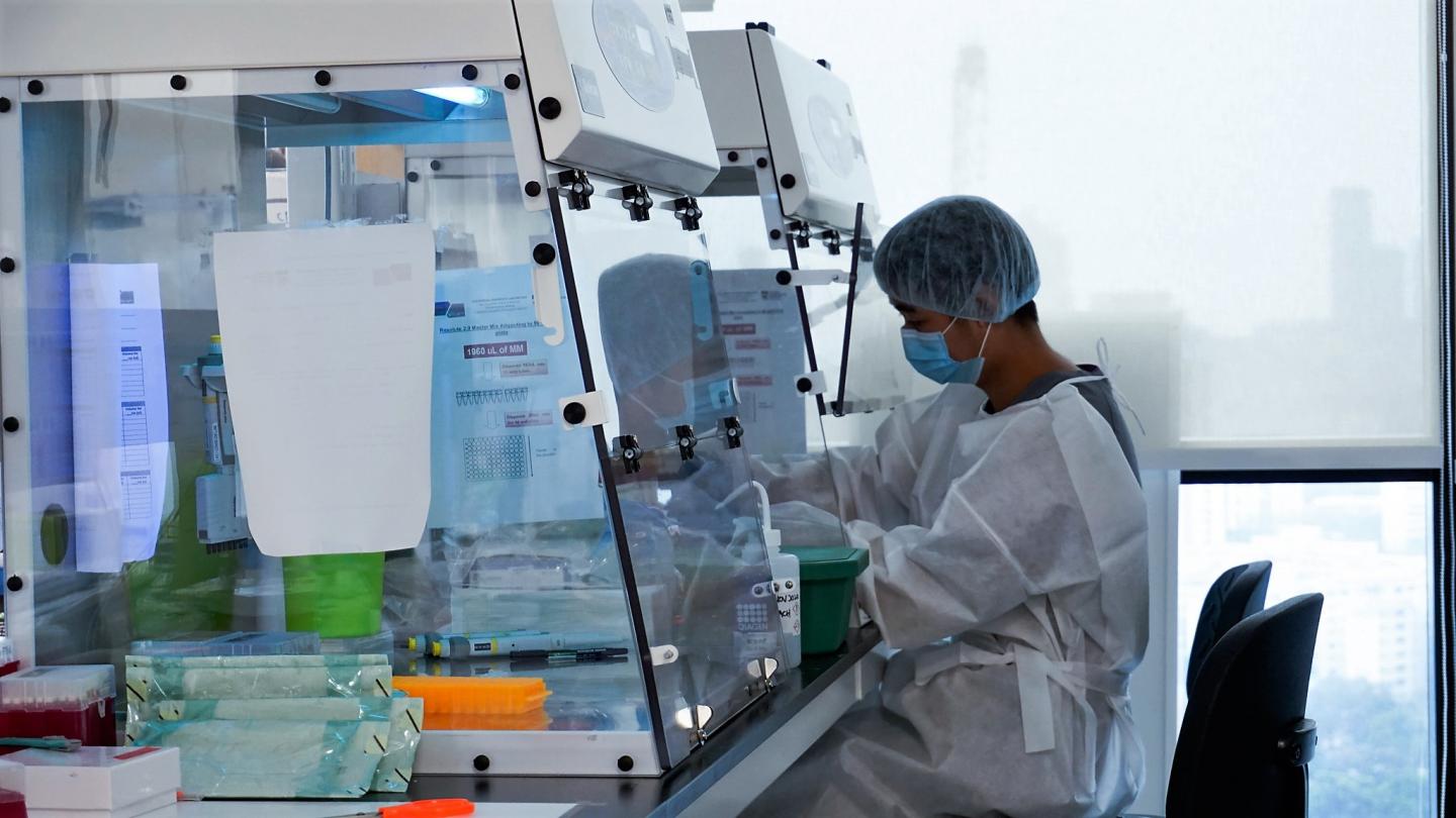 Total and new cases, deaths per day, mortality and recovery rates, current active cases, . Hi Tech Lab By Ntu And Pathnov Image Eurekalert Science News Releases