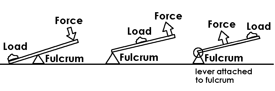 In the image below, the triceps is the effort, the fulcrum is the elbow joint and the load is the weight of the arm and javelin. earjmsscience [licensed for non-commercial use only