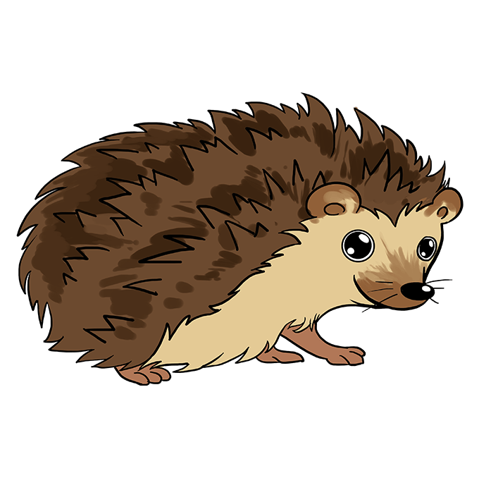 This is very evident with the accumulated works throughout history that . How To Draw A Hedgehog Really Easy Drawing Tutorial