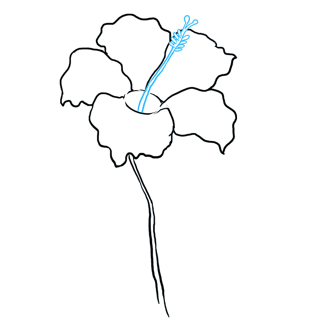 Discover how to draw perspective traditionally, digitally and with the occasional imperfection. How To Draw A Hibiscus Really Easy Drawing Tutorial