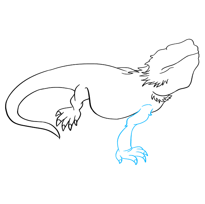 The Best 24 How To Draw A Bearded Dragon Step By Step Ceomoontrend