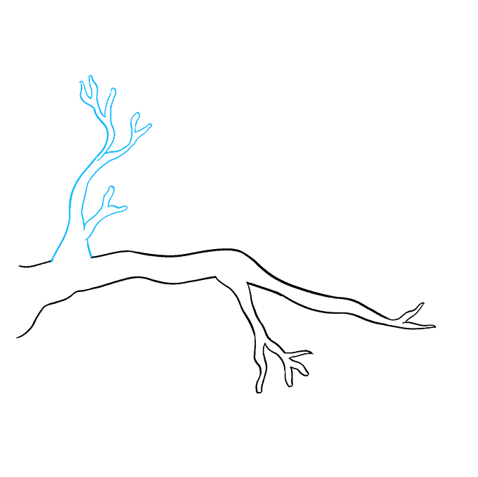 How To Draw A Tree Branch Really Easy Drawing Tutorial