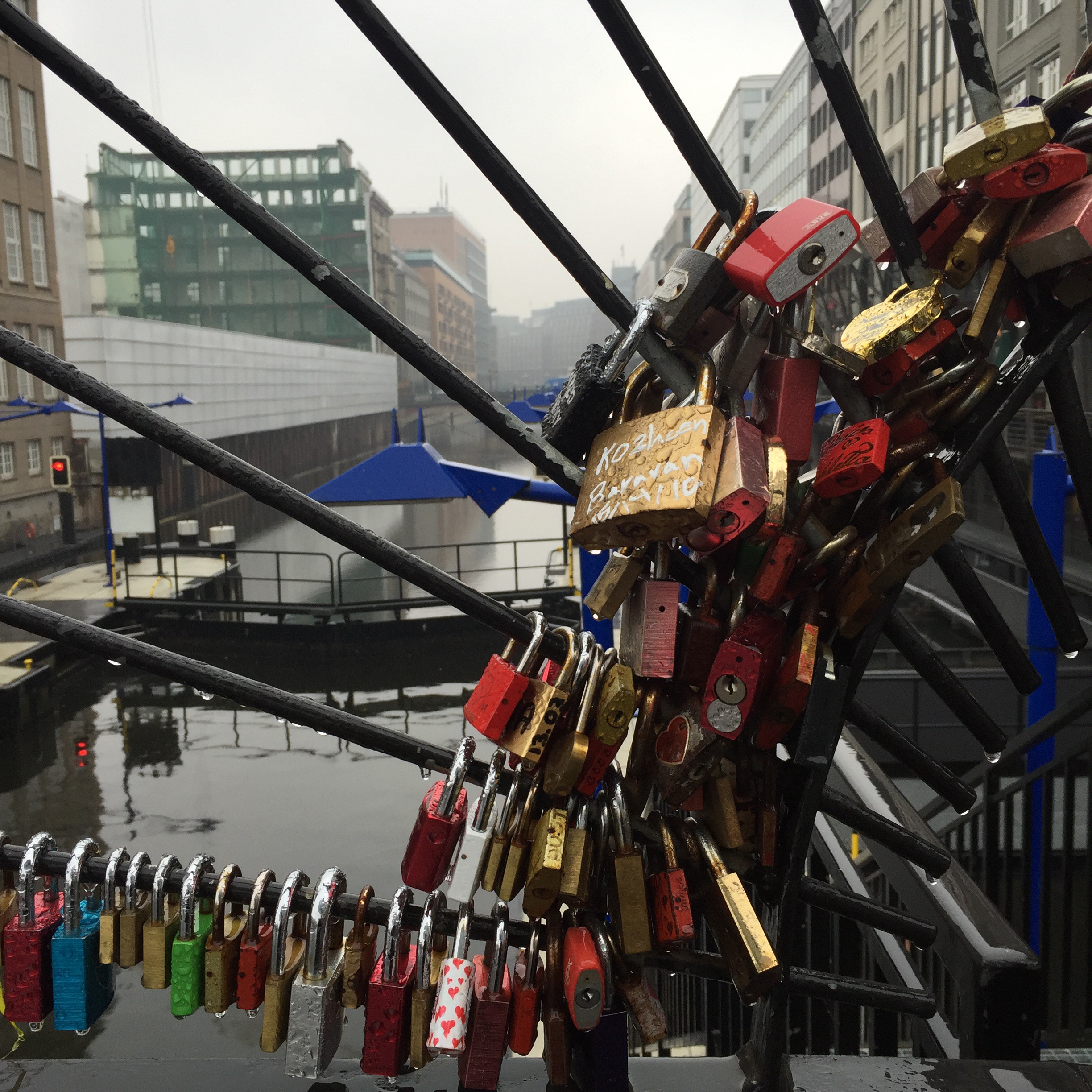 Hops are the female flowers from the hop plant, humulus lupulus. Adventures In Hamburg The Stadtrundfahrt Eat Drink Move Repeat