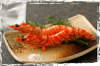 車海老の通販 くるまえびや海老吉 熊本県宇城市の車海老養殖業 吉本水産