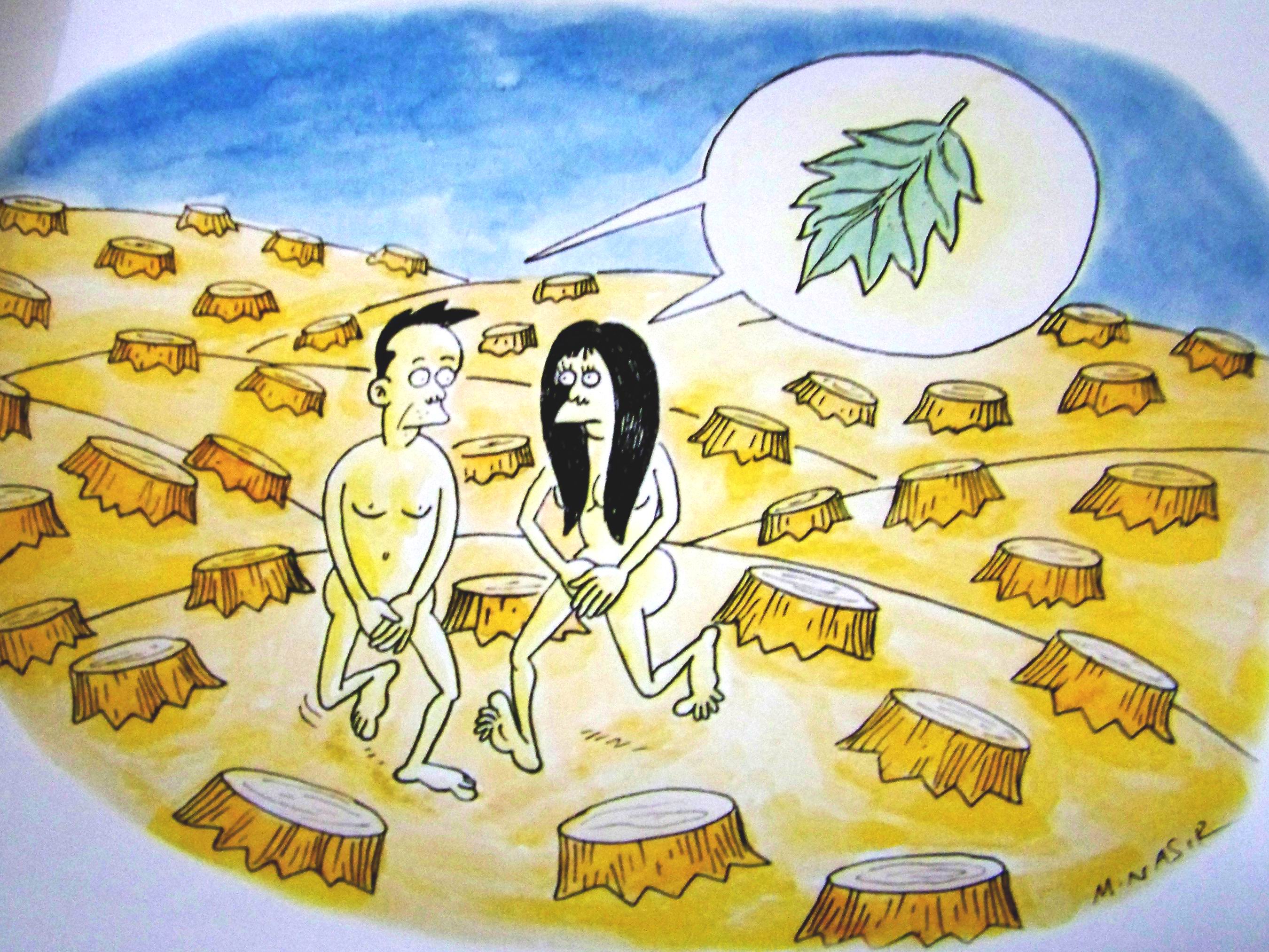 Sekitar bentang pegunungan meratus, salah satu hutan penyangga pulau kalimantan. Keren 30 Gambar Kartun Hutan Gundul Kumpulan Kartun Hd