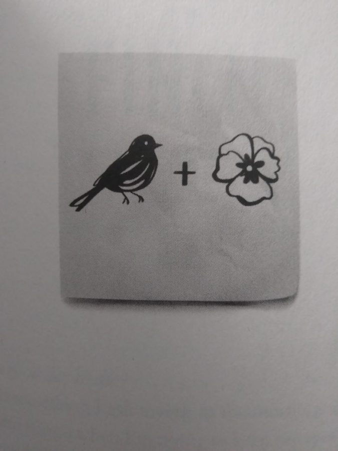 Theodore struggles with mental health issues as well and is obsessed with suicide. Book Review All The Bright Places Echo Lites