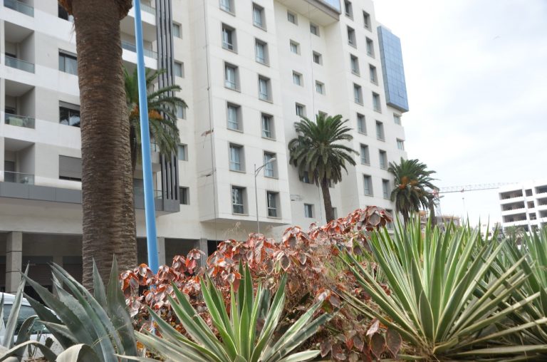 وكذلك ظهور شرطي وأيضاً ظهور مبنى . حام الدرك الو : ‫Ruba Aladwan - #فارس_الغناء_العربي #عاصي ...