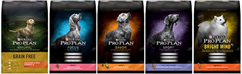 Purina Pro Plan Dry Dog Food, Focus, Puppy Chicken and Rice Formula, 34Pound Bag, Pack of 1