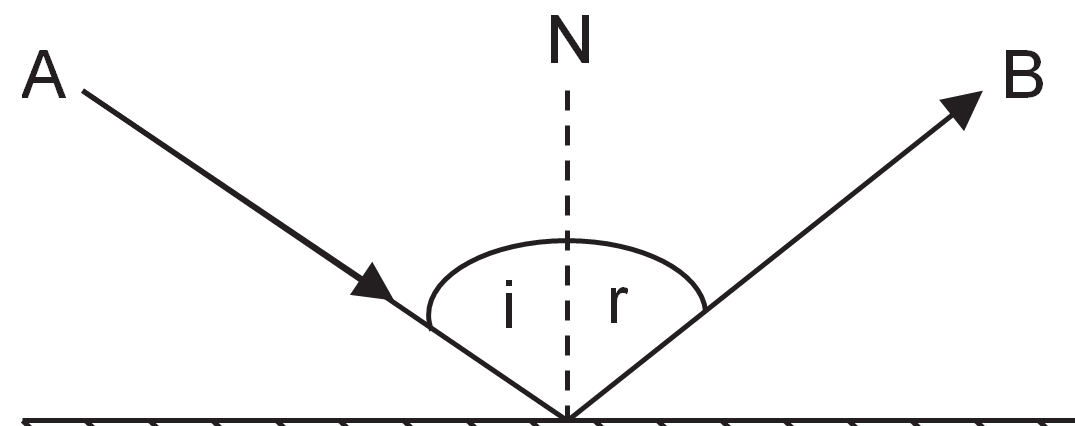 Starters for science provides the key learning, key vocabulary and 4 easy . Reflection Of Light