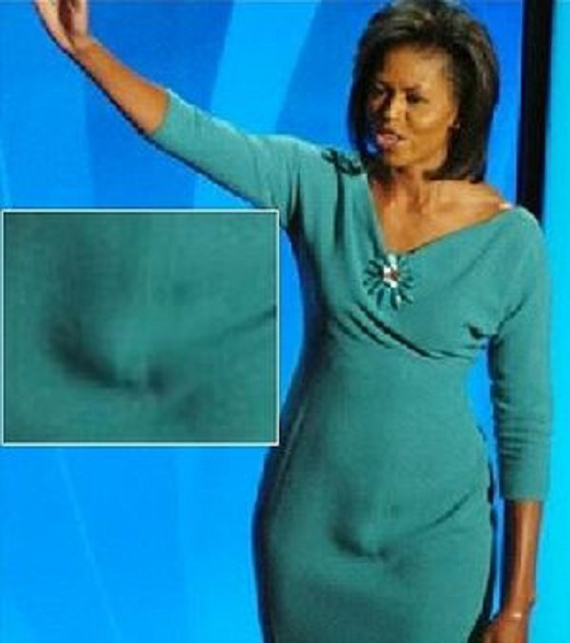 Update On “Michelle” Obama (a.k.a. Michael Robinson) – loquendo laxe