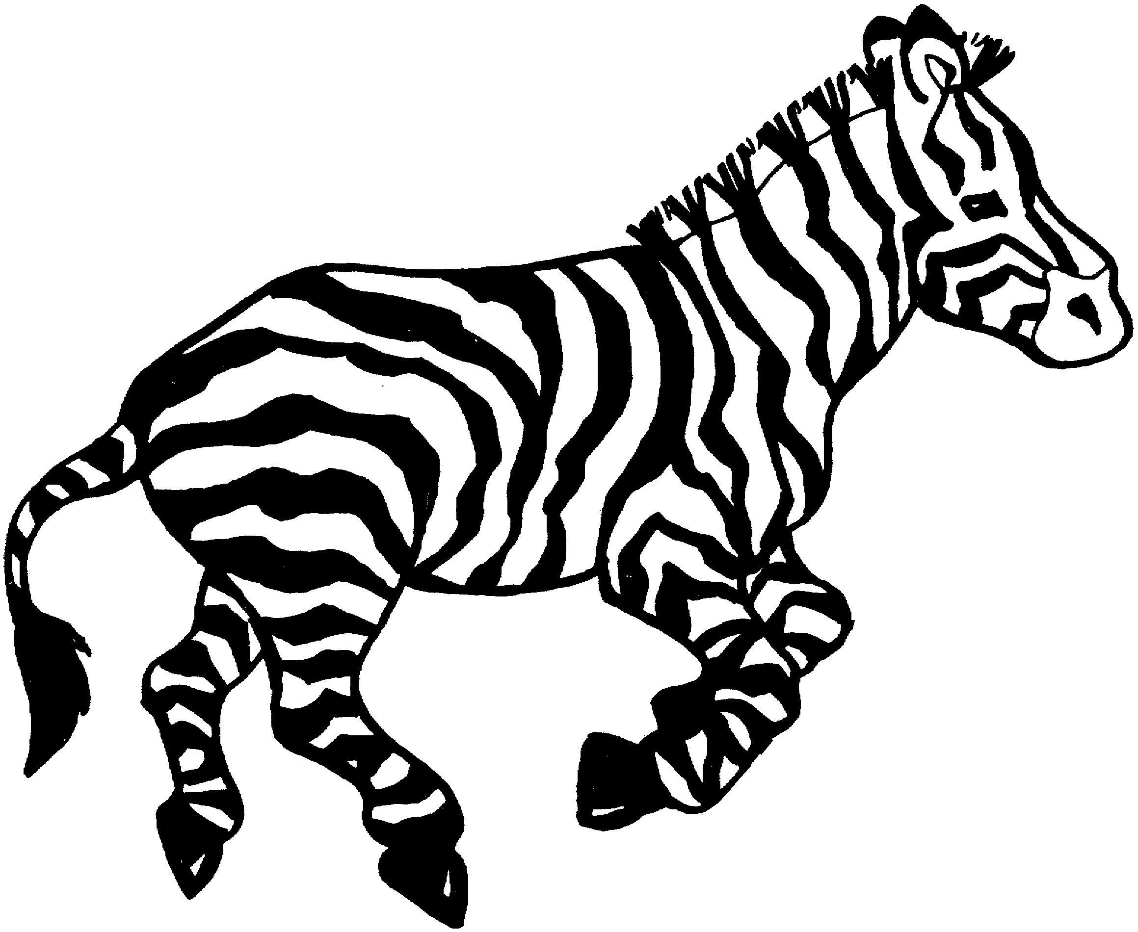 zebra coloring pages educative printable