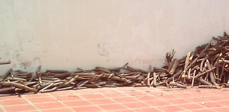 Comandante de la REDI Los Andes repartirá leña ante escasez de gas doméstico