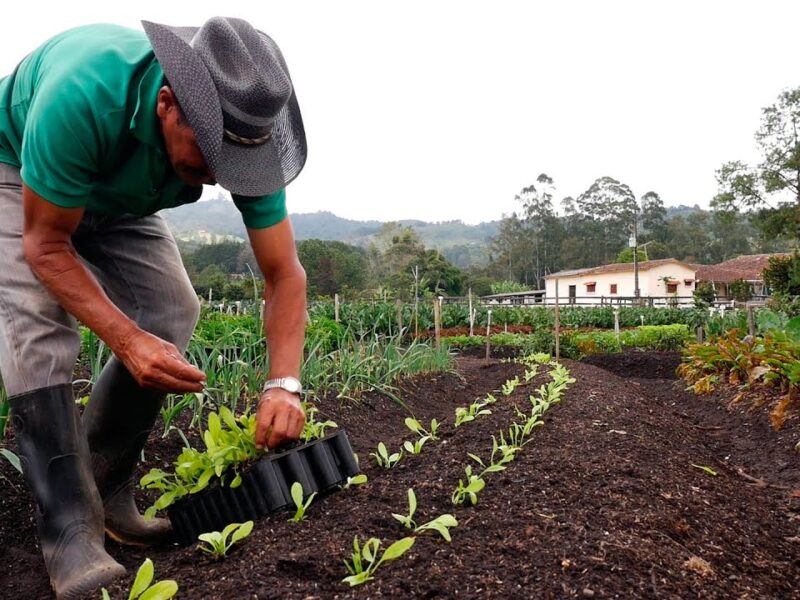Agroproductores nacionales