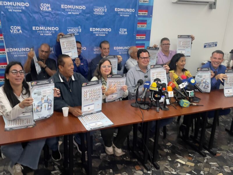Plataforma UNitaria Venezuela