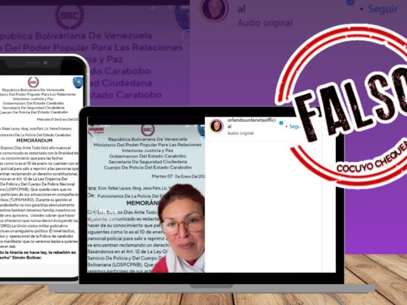 Su impacto más significativo estuvo en TikTok e Instagram
