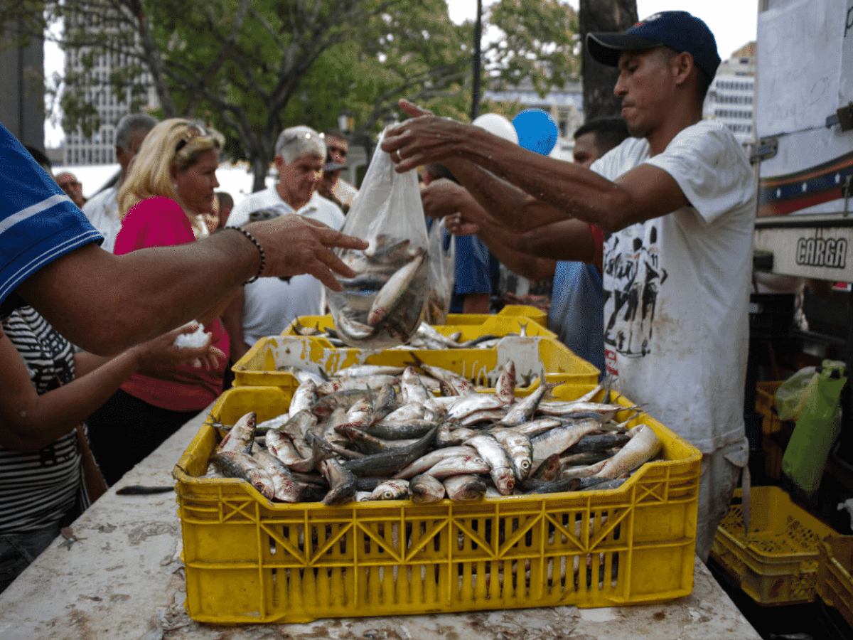 ¿Cuánto cuesta mantener viva la costumbre de comer pescado en Semana Santa en Venezuela 2026?
