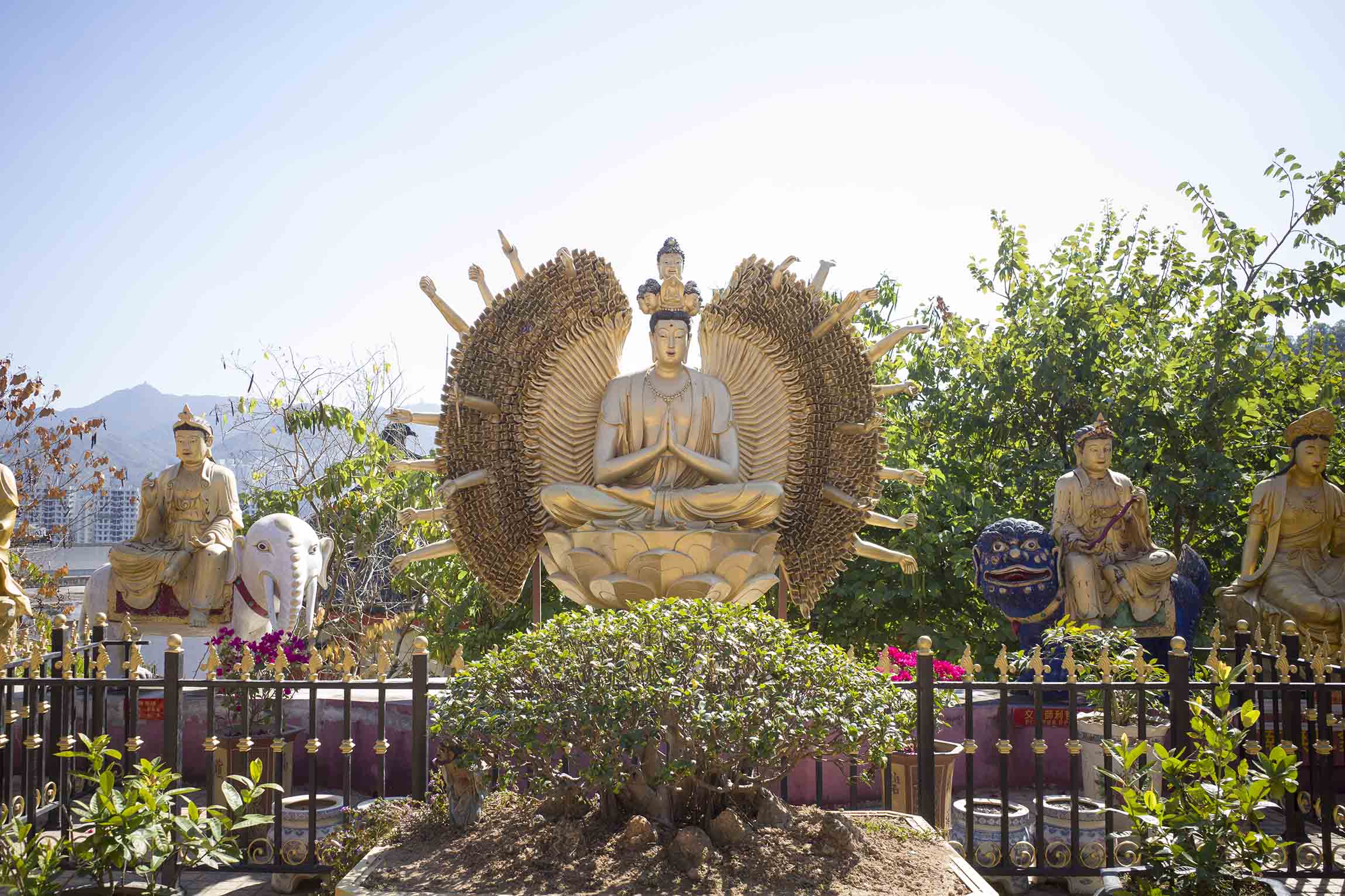 沙田萬佛寺金色佛像