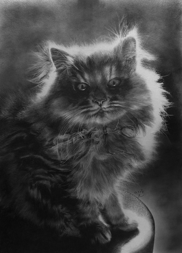 22 incredibly realistic pencil drawings · 01. Astonishing Pencil Drawings By Paul Lung Ego Alterego