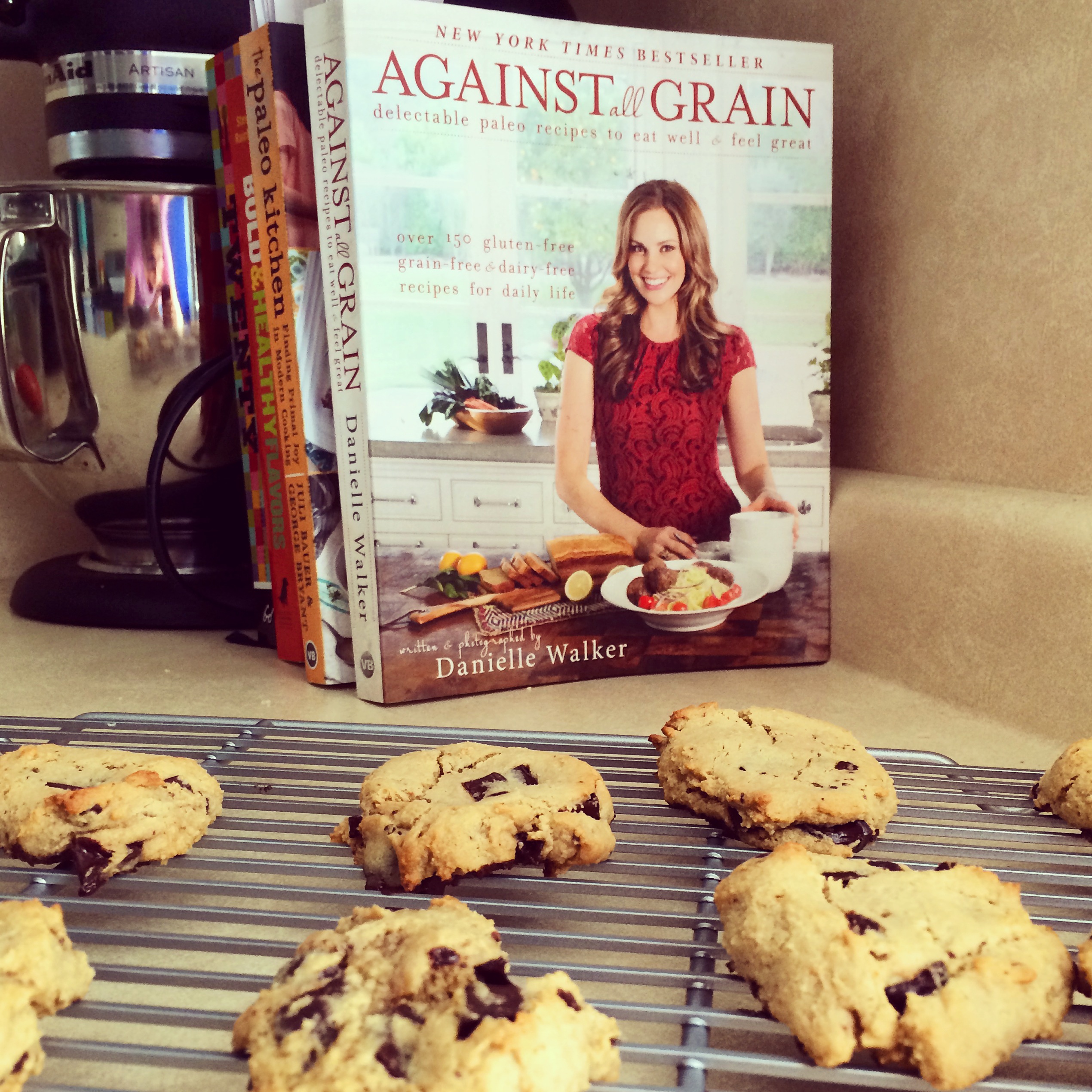 I have both of danielle walker's paleo cookbooks: Reintroduction Phase 1 5 The Trouble With Sugar Edifying Elisa