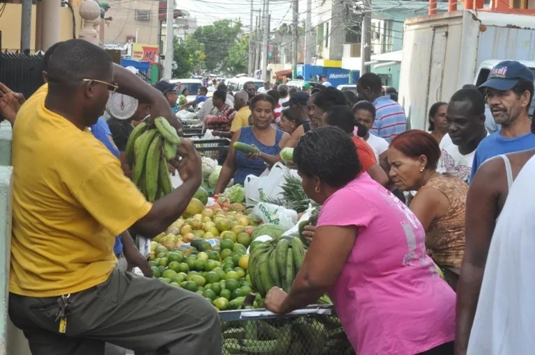 La escasez de plátano en República Dominicana: ¿Por qué aumentan los precios?