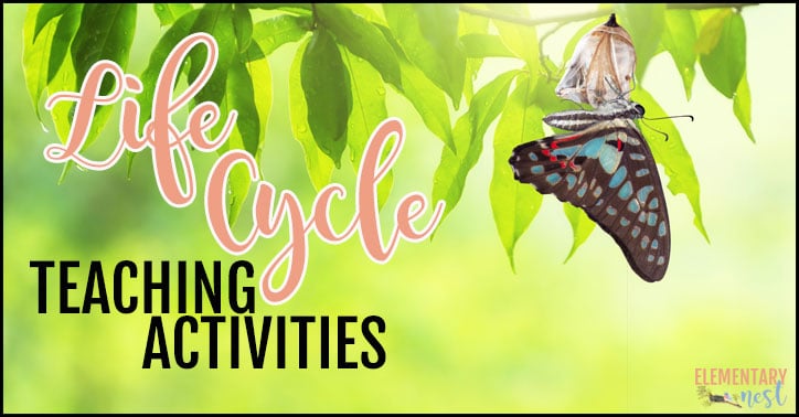 Our 2nd channel is on patreon! Teaching Life Cycles In Spring Time Elementary Nest