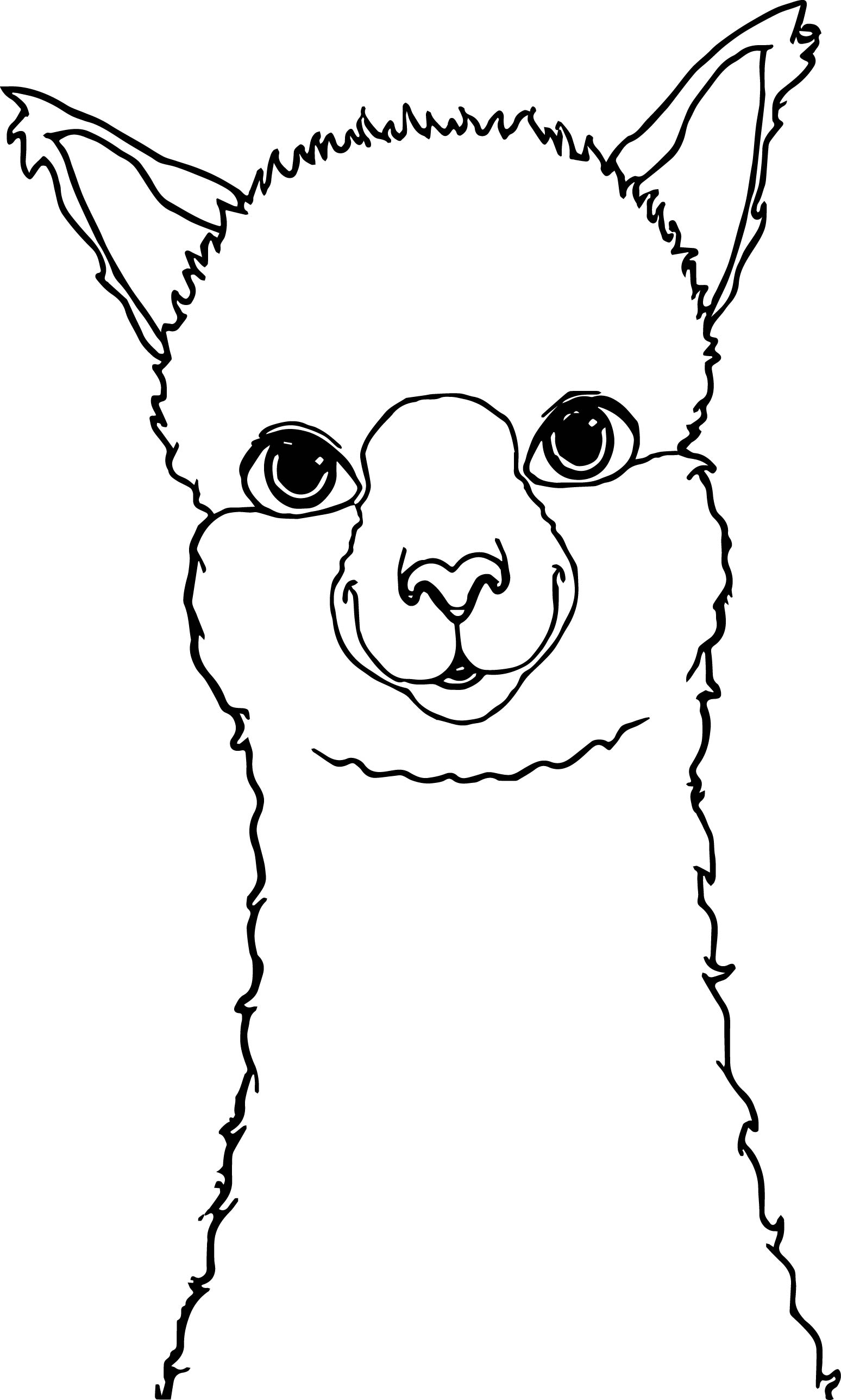 Alpaca Coloring Pages : Buy Alpaca Coloring Books For Kids 5 8 Age Llama Easy Fun Beautiful Coloring Pages Cute Animals Kawaii Relaxation Creativity For Kids Boy Girl 5 To 8 Age Book Online At Low Prices /