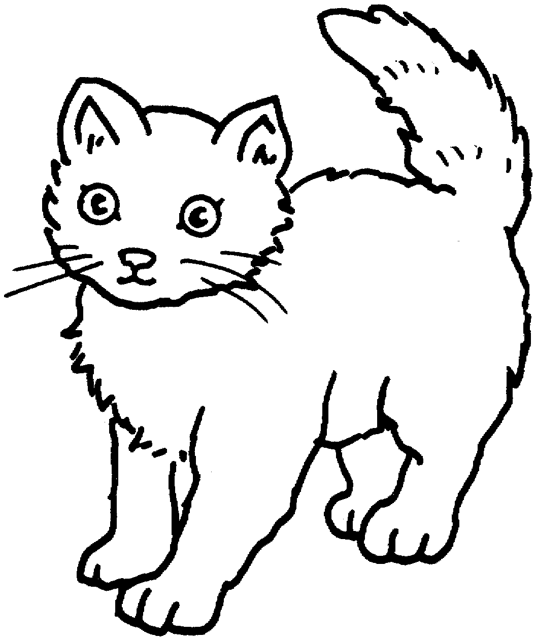 Here's the truth about whether cats can see color—and how their vision differs from ours in other ways. Free Printable Cats Coloring Pages Elimu Centre