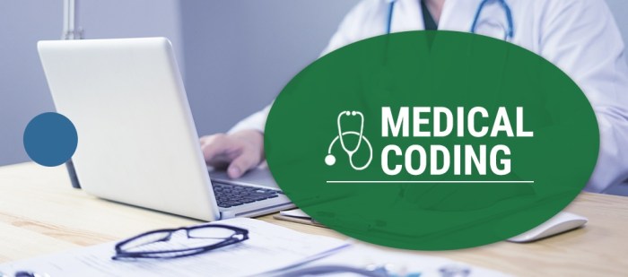7 Best Medical Coding Courses For Beginners in 2025 7 Best Medical Coding Courses For Beginners in 2025