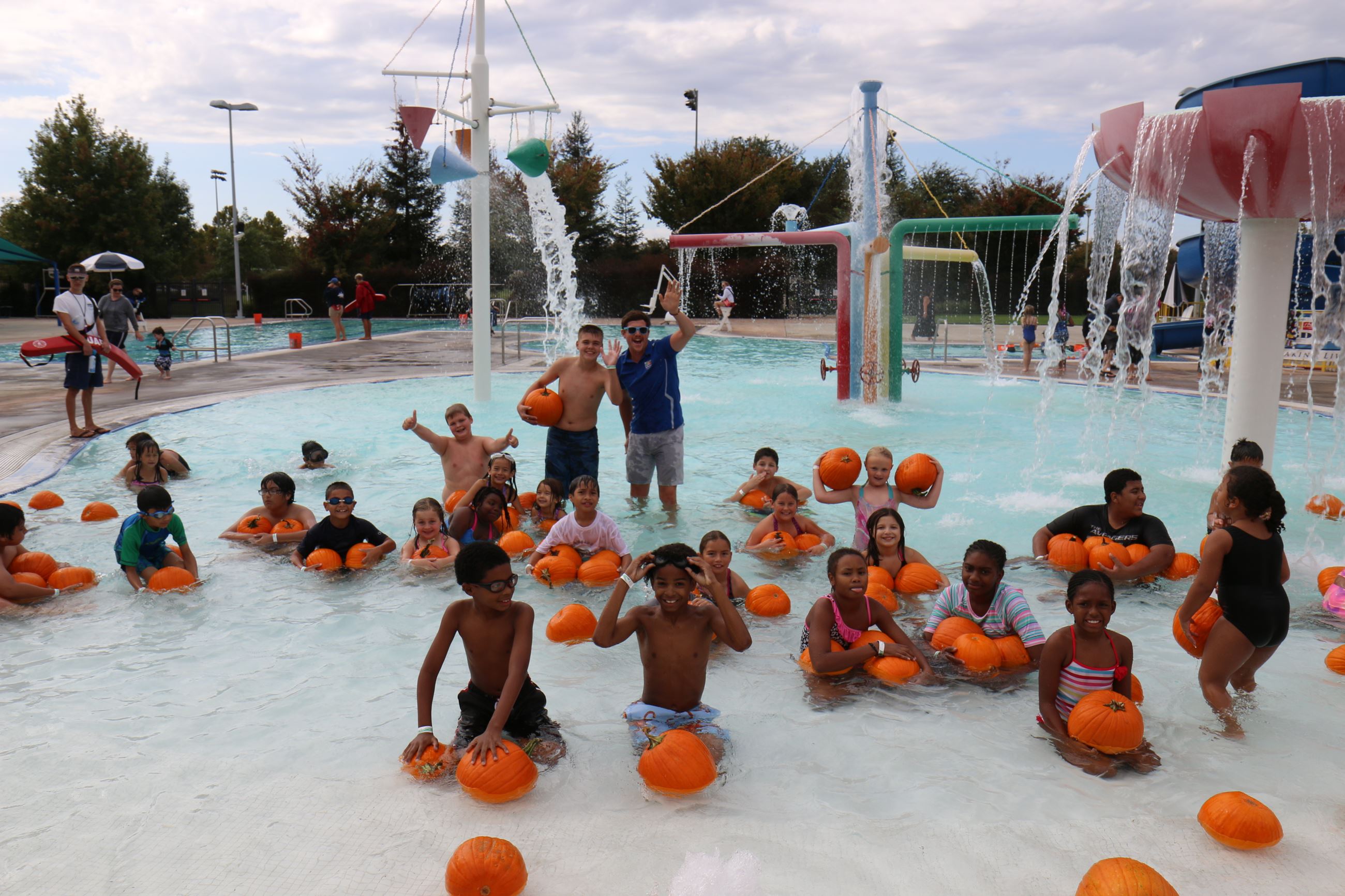 Elk Grove Pool of Pumpkins Water Pumpkin Patch - Elk Grove Tribune