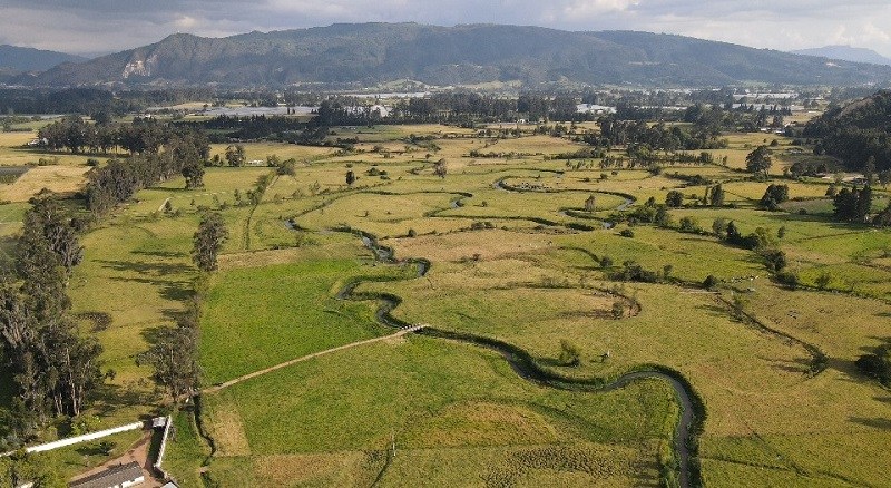 COGUA: CELEBRARÁN CANTO AL RÍO NEUSA - El Observador